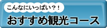 こんなにいっぱい？！おすすめ観光コース