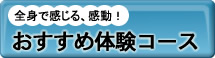 全身で感じる、感動！おすすめ体験コース